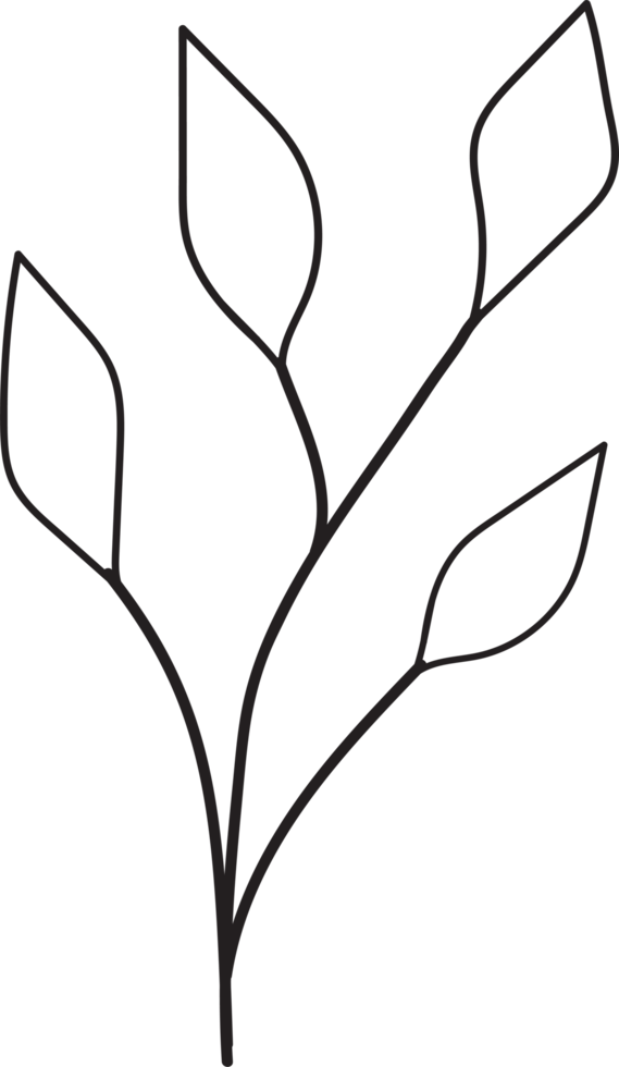 design de contorno de folhas tropicais, ilustração floral de estilo minimalista png