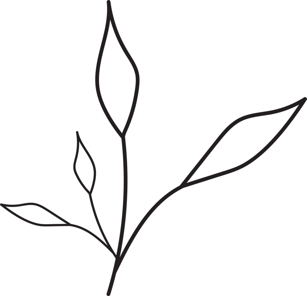 Tropical leaves outline design, Minimal style floral illustration png