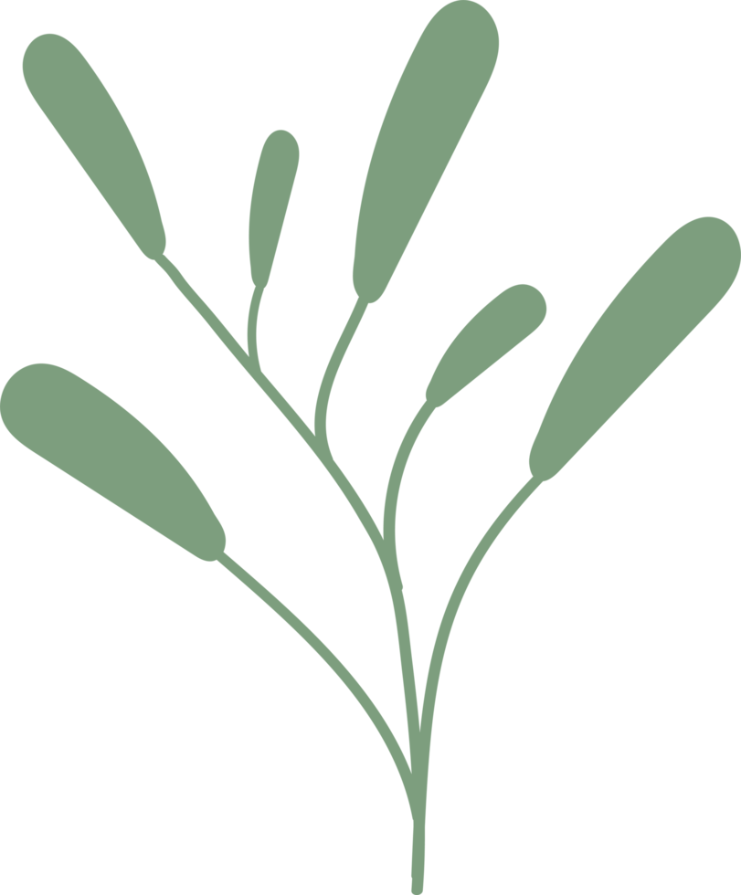 Tropical leaves green color, minimal style floral illustration png