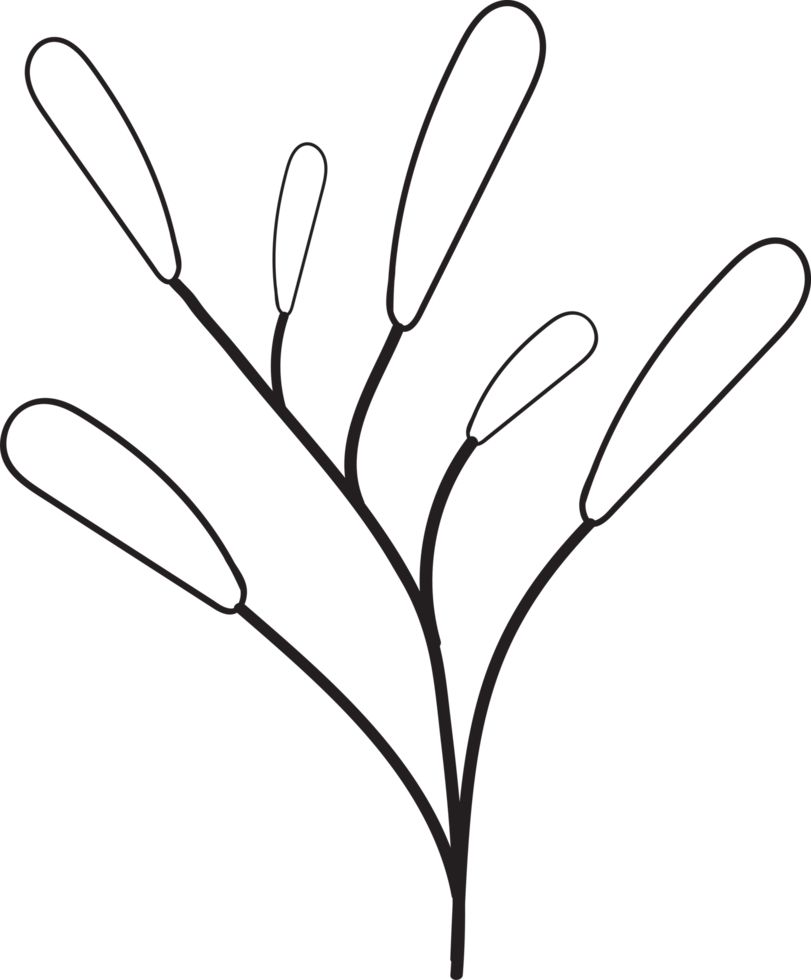 Tropical leaves outline design, Minimal style floral illustration png