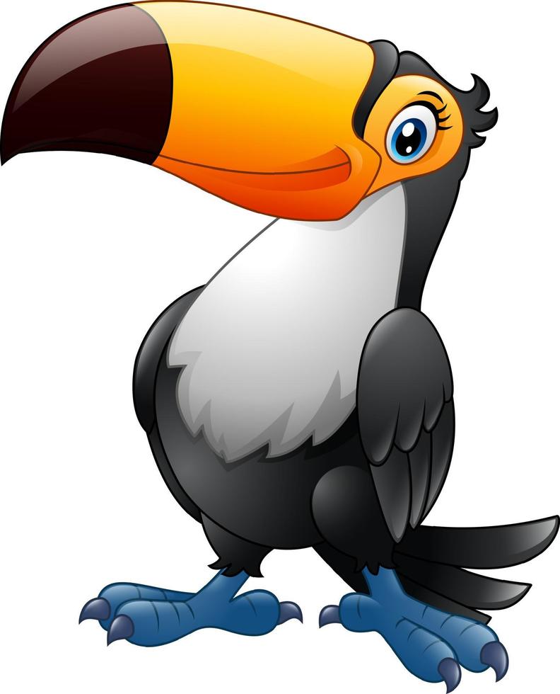 Cartoon toucan bird vector