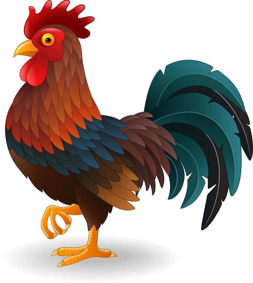 Cartoon rooster isolated on white background vector