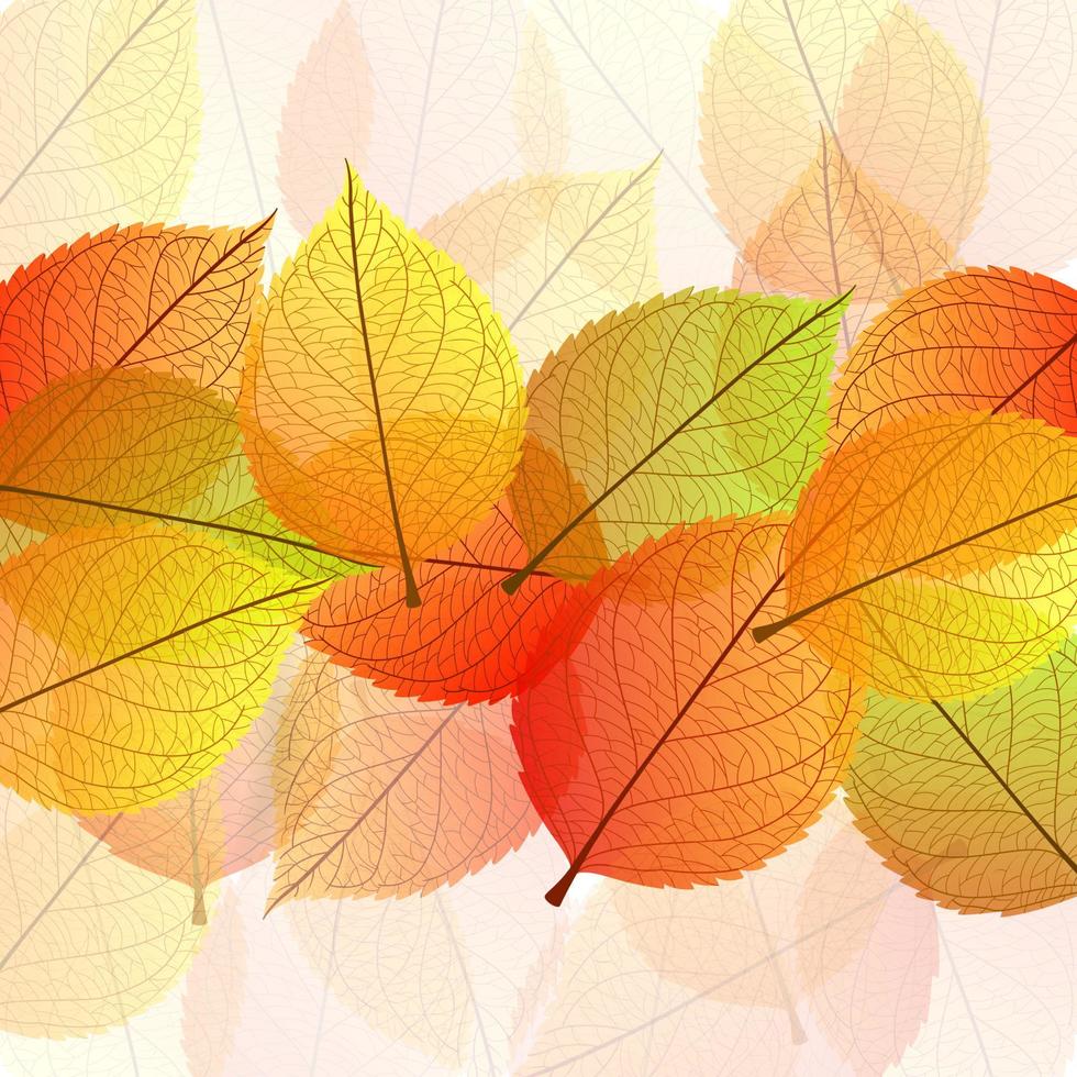 fondo con hojas de otoño estilizadas vector