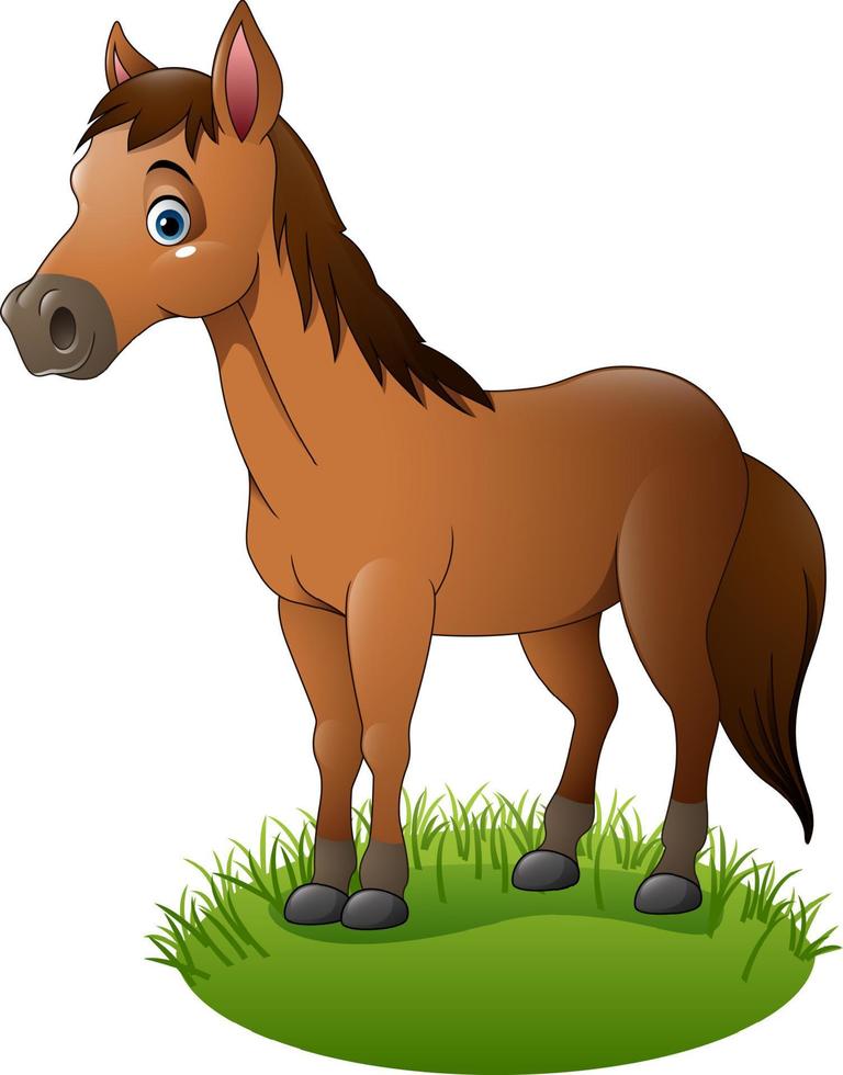 Cartoon brown horse vector
