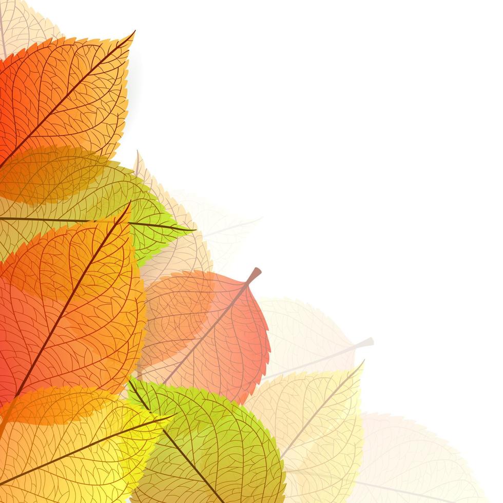 fondo con hojas de otoño estilizadas vector