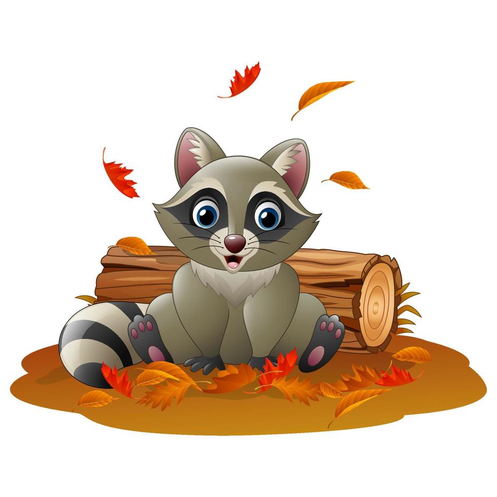 Cartoon raccoon in the autumn weather vector