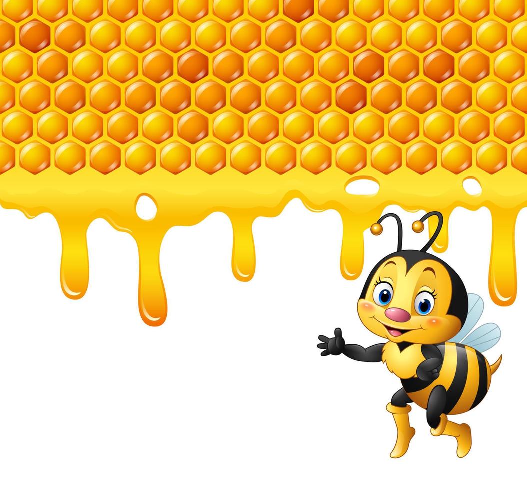 Cartoon bee with honeycomb and honey dripping vector