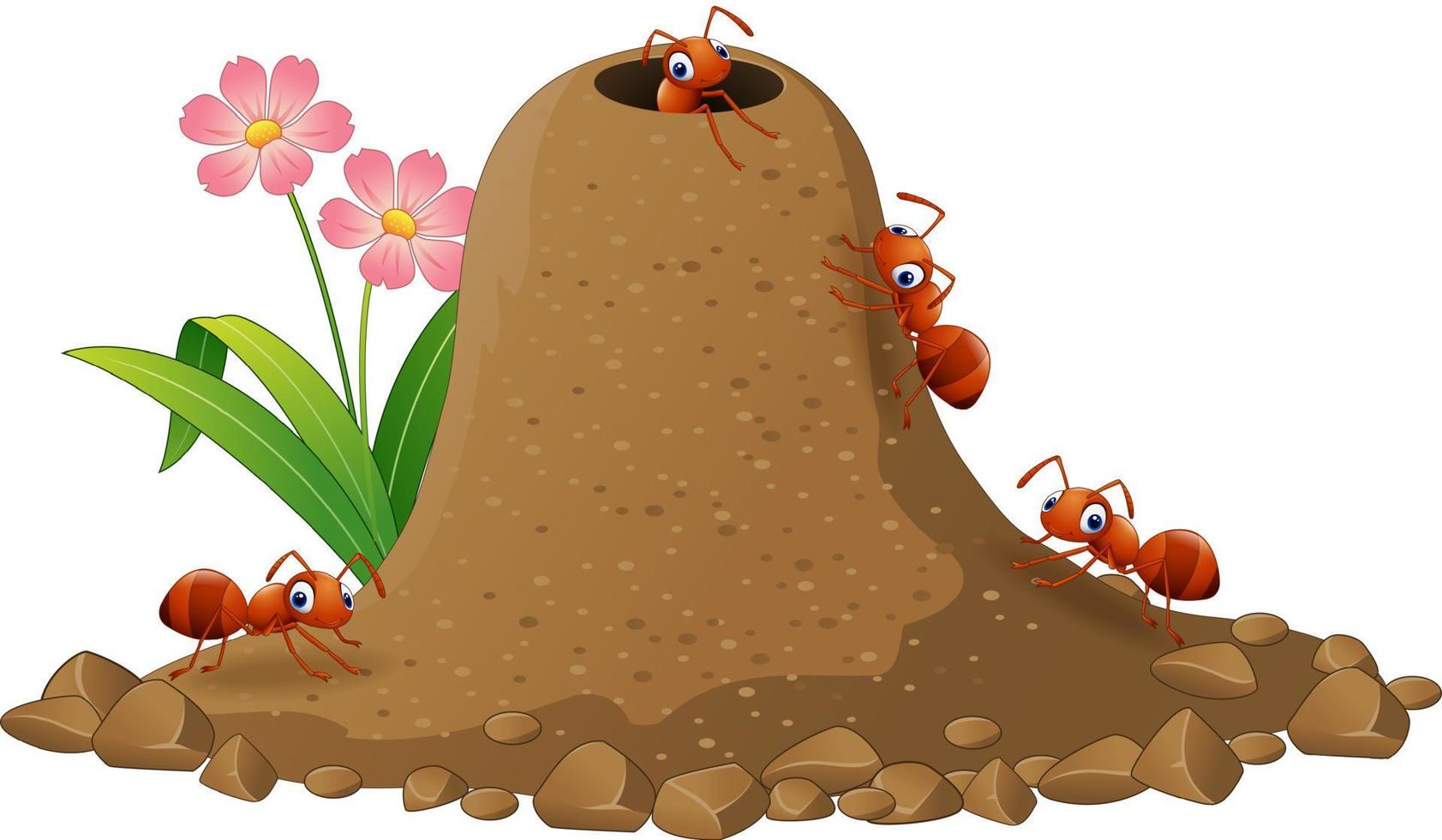 Cartoon ants colony and ant hill vector