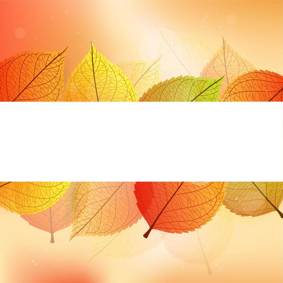 fondo con hojas de otoño estilizadas vector