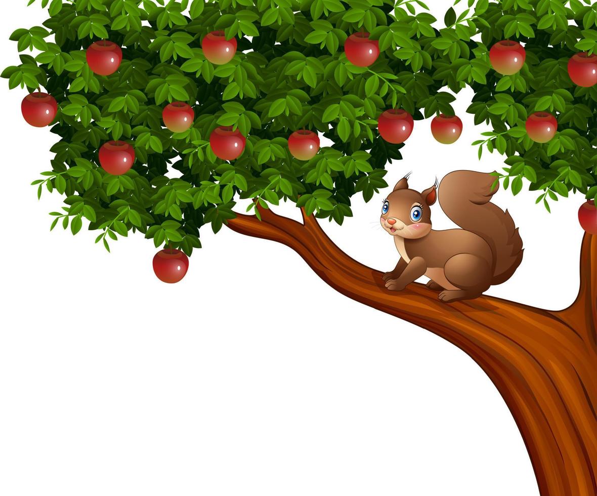 Cartoon squirrel on apple tree vector