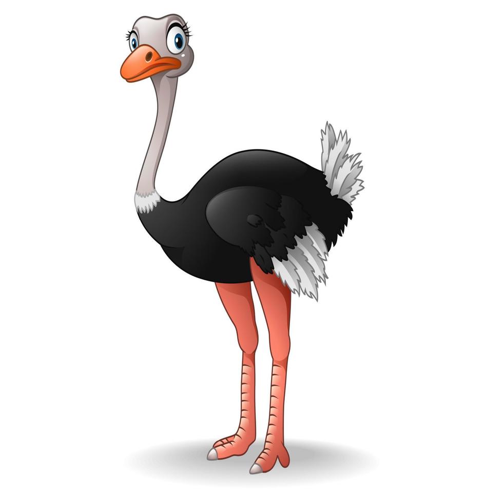 Cute ostrich cartoon vector