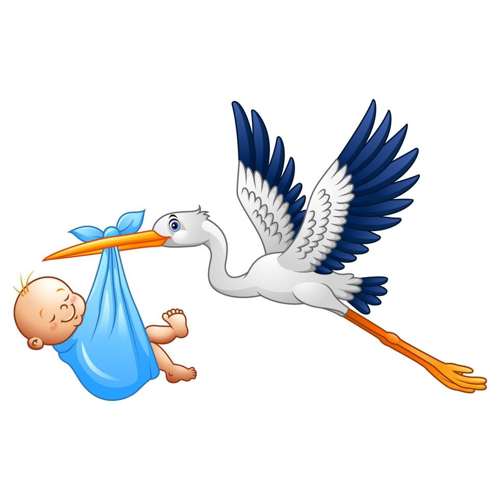Cartoon stork with baby boy vector