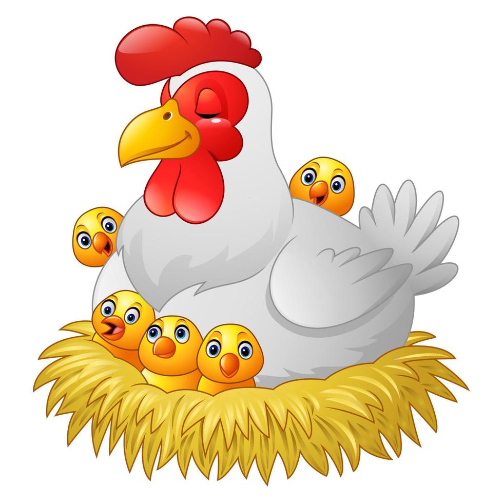 linda caricatura de gallina con pollos sentados en un nido vector