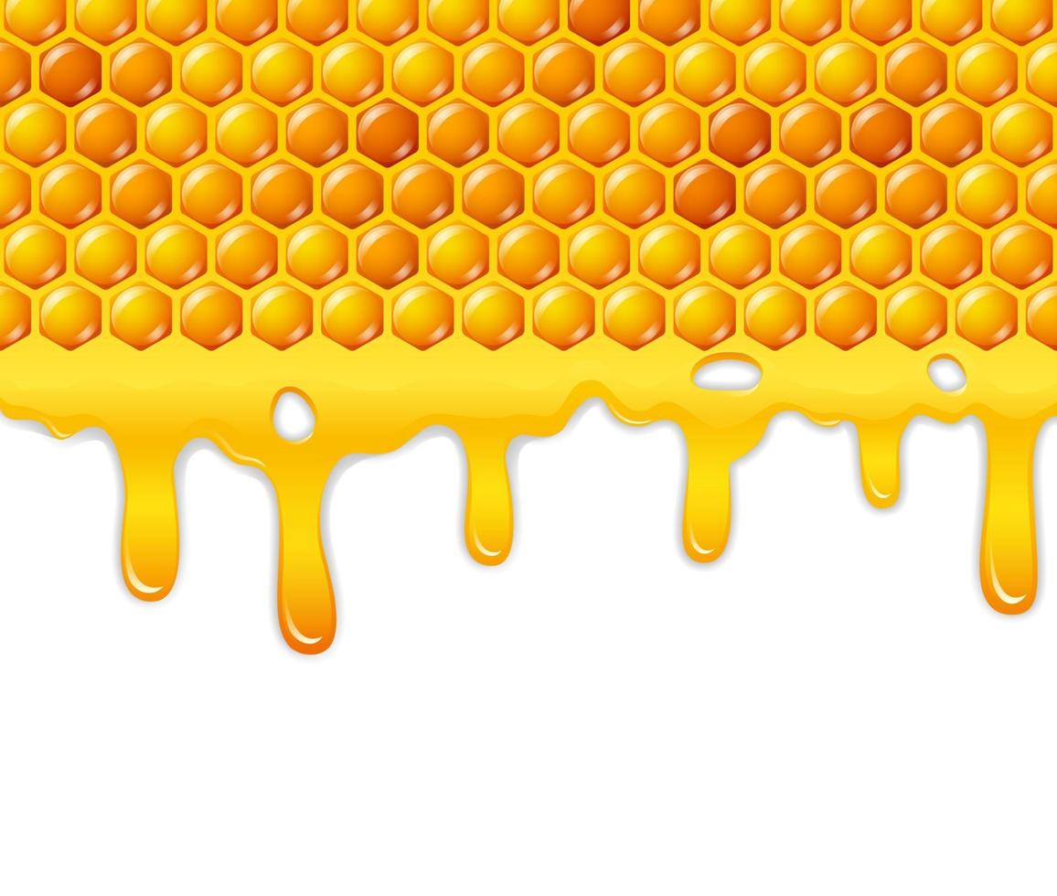 Cartoon honeycomb with honey dripping vector