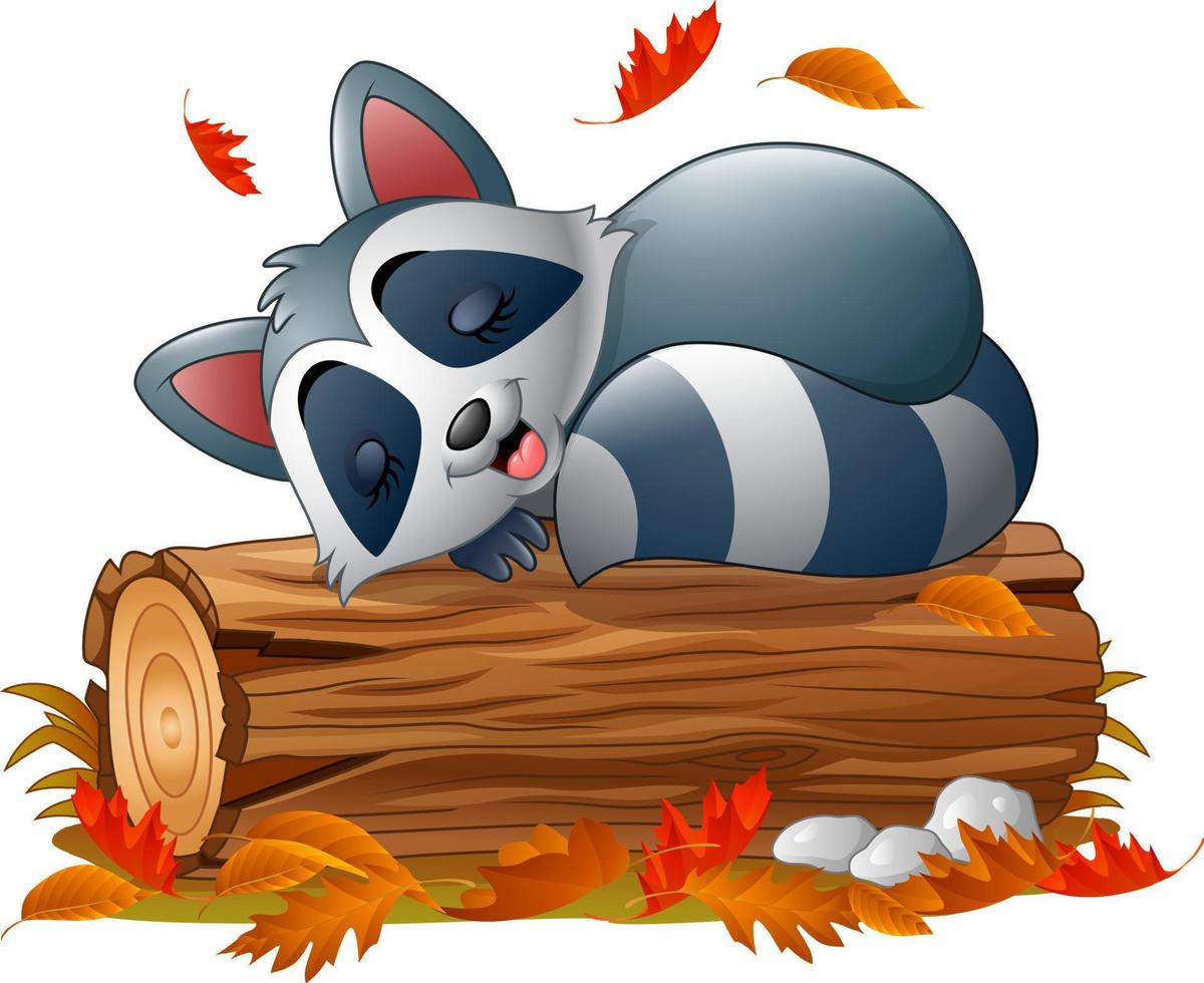 Cartoon raccoon sleeping in the autumn weather vector