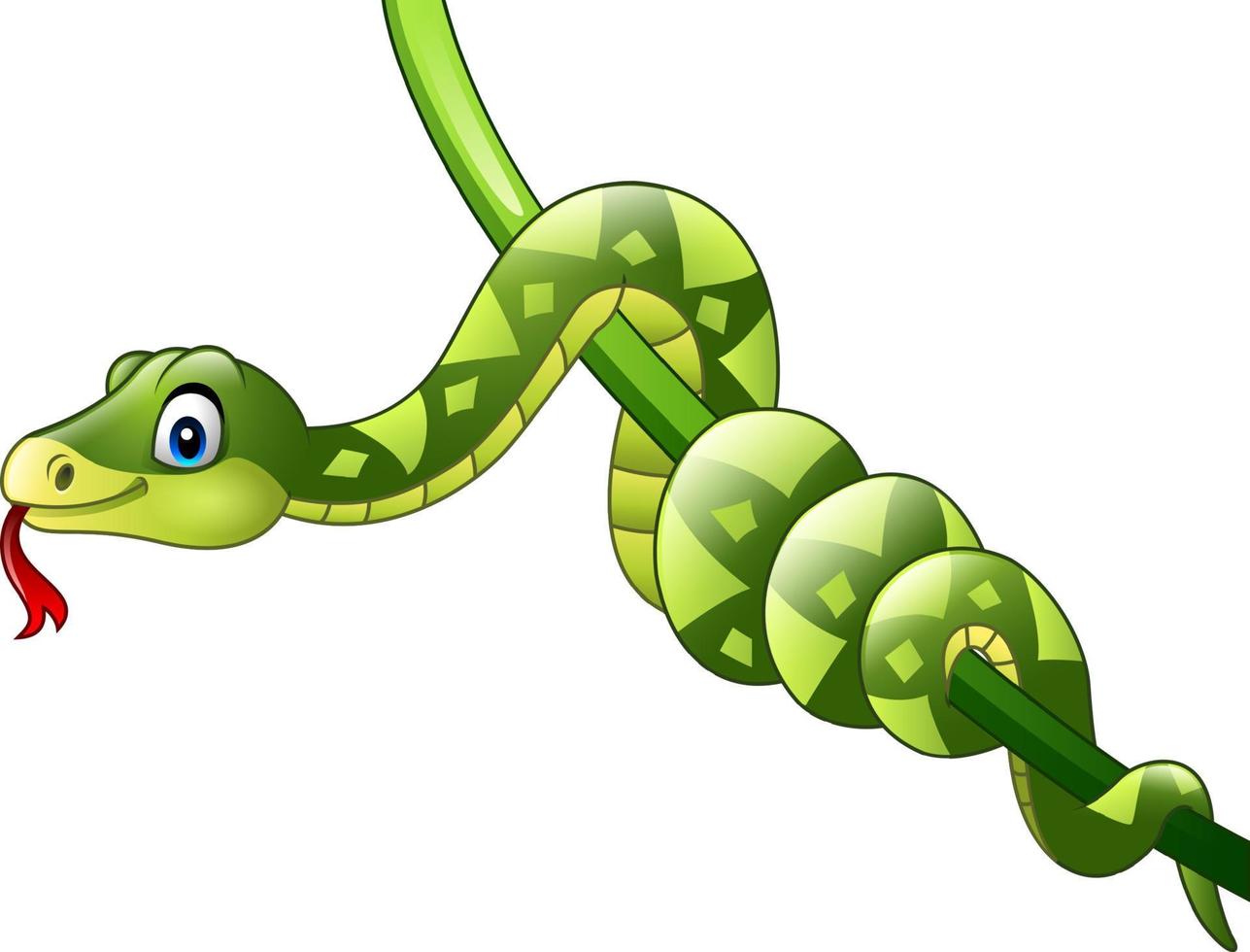 Cartoon green snake on vine vector