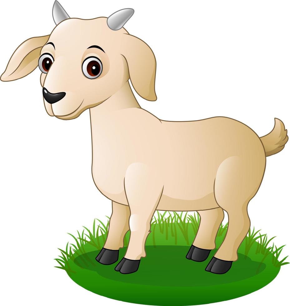 Cartoon goat in the grass vector