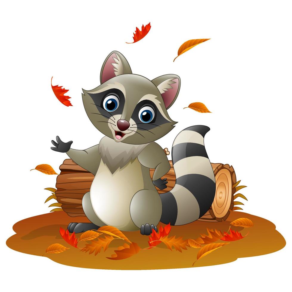 Cartoon raccoon in the autumn weather vector