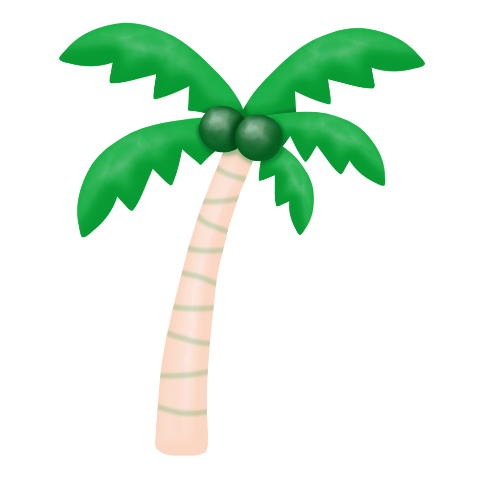 sommar kokos akvarell clipart, strand png