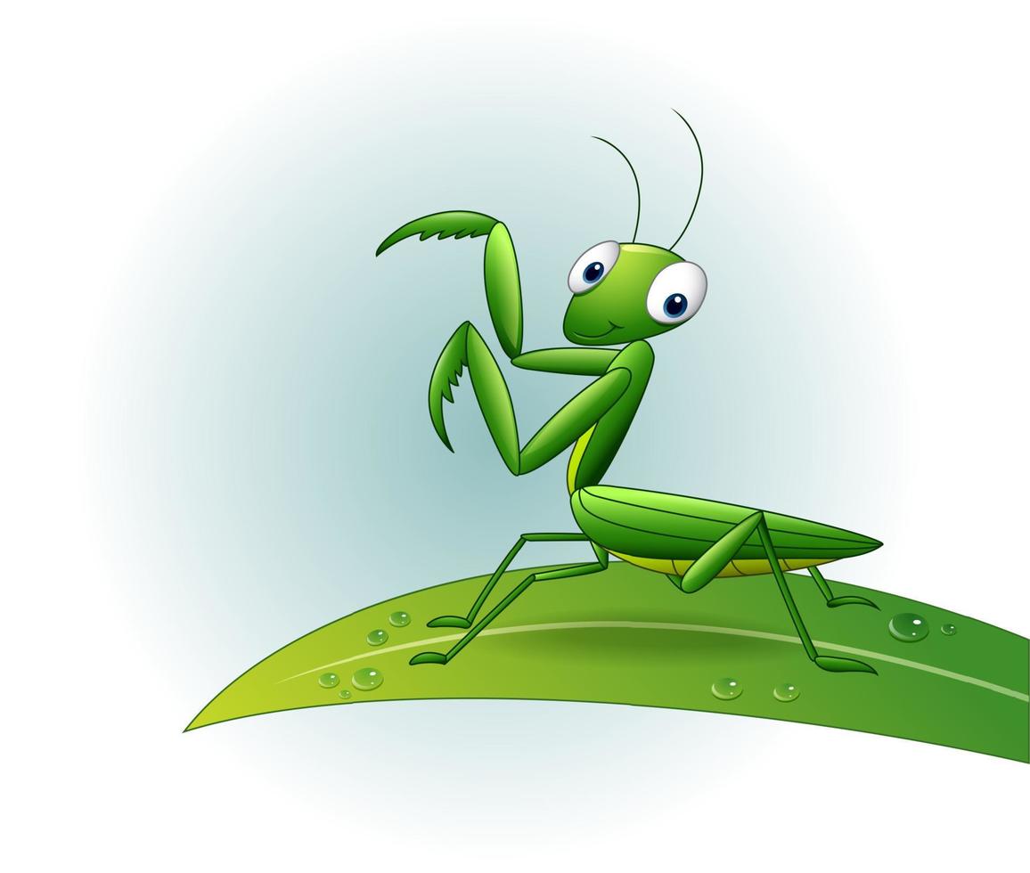 Cartoon praying mantis on leaf vector