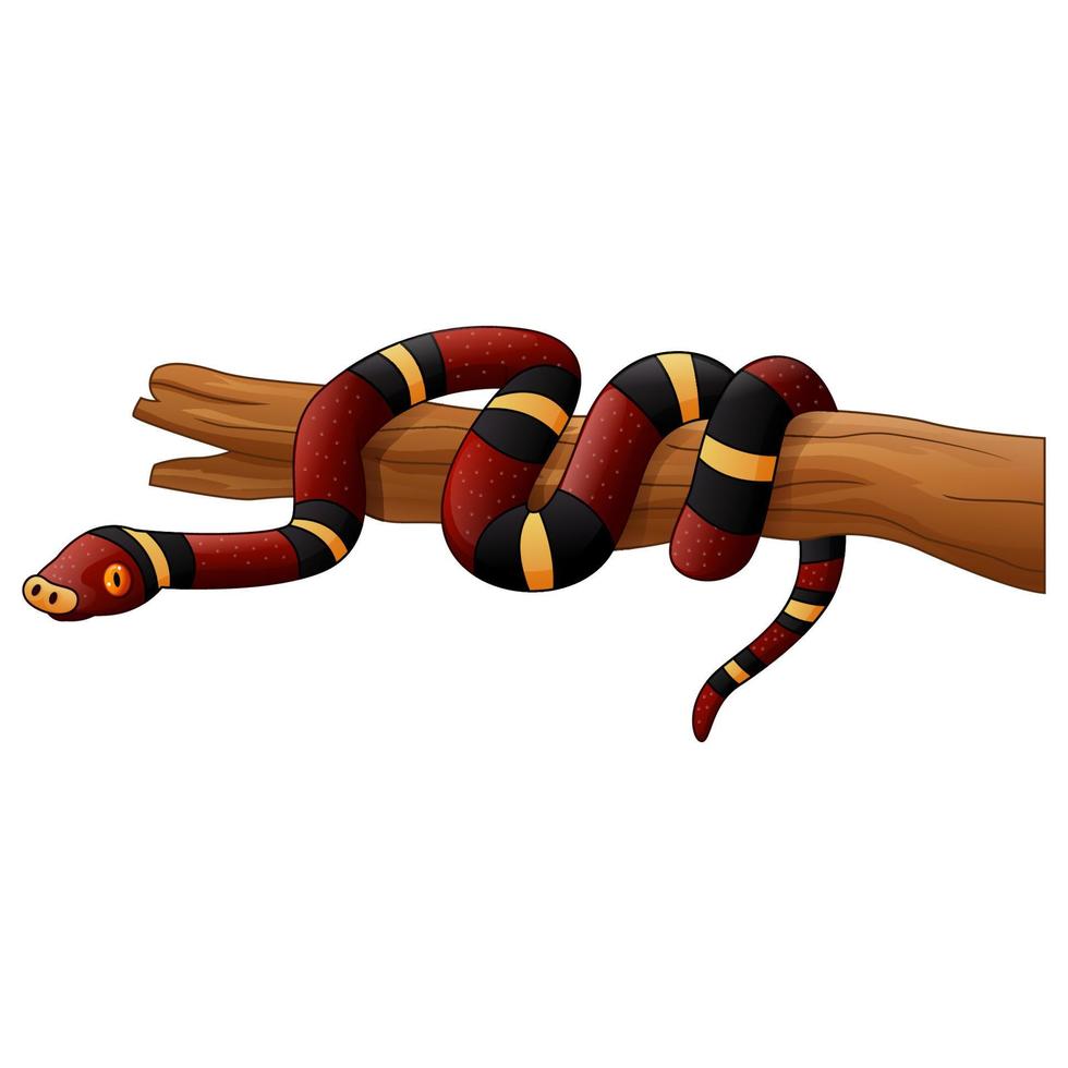 Cartoon snake on branch vector