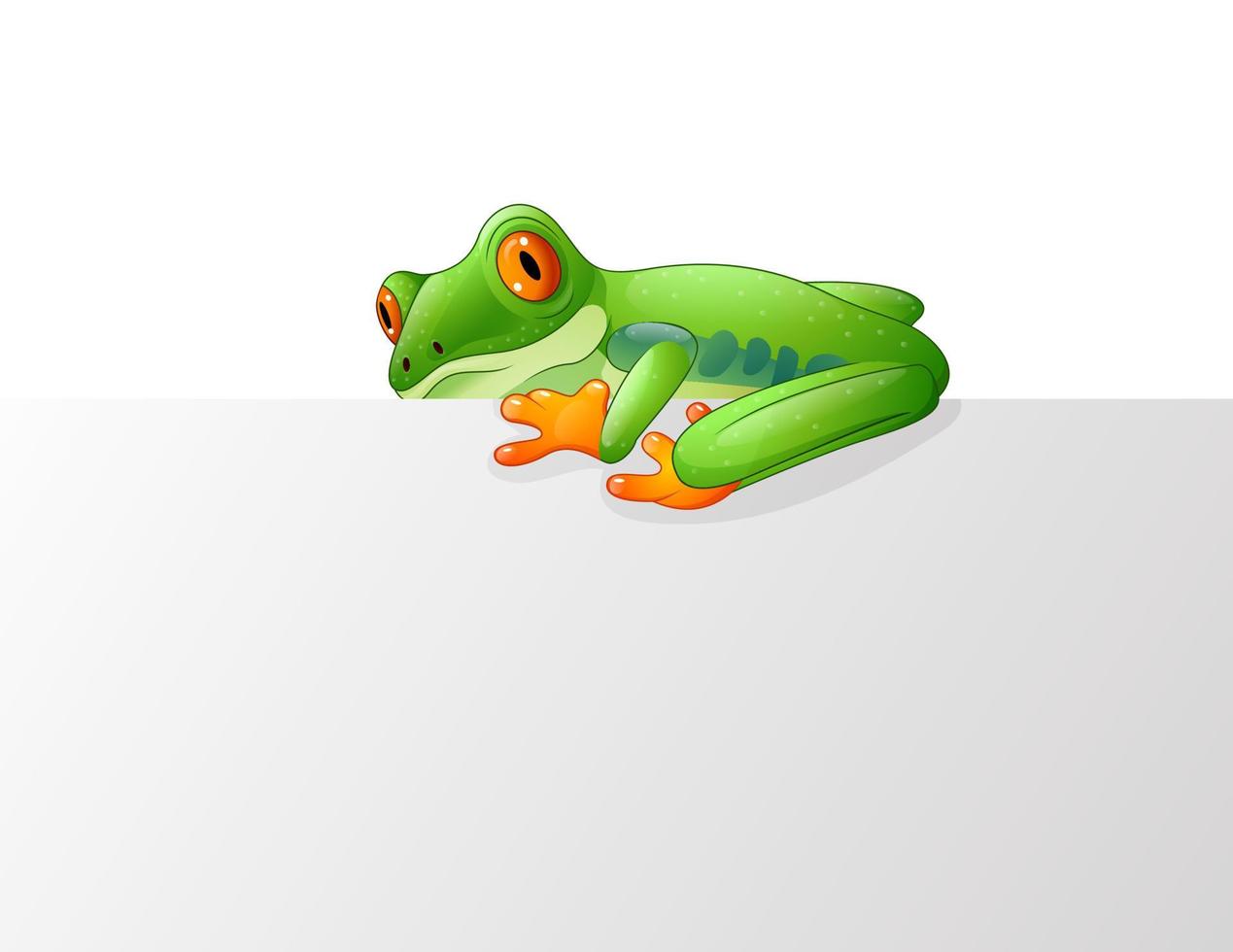 Cartoon cute frog on the blank sign vector