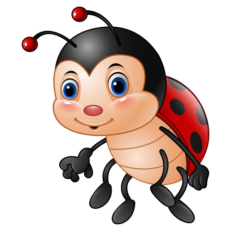 Cartoon funny ladybug vector