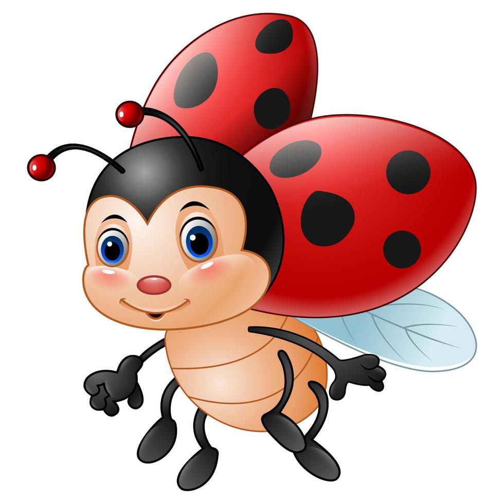 Cartoon funny ladybug vector
