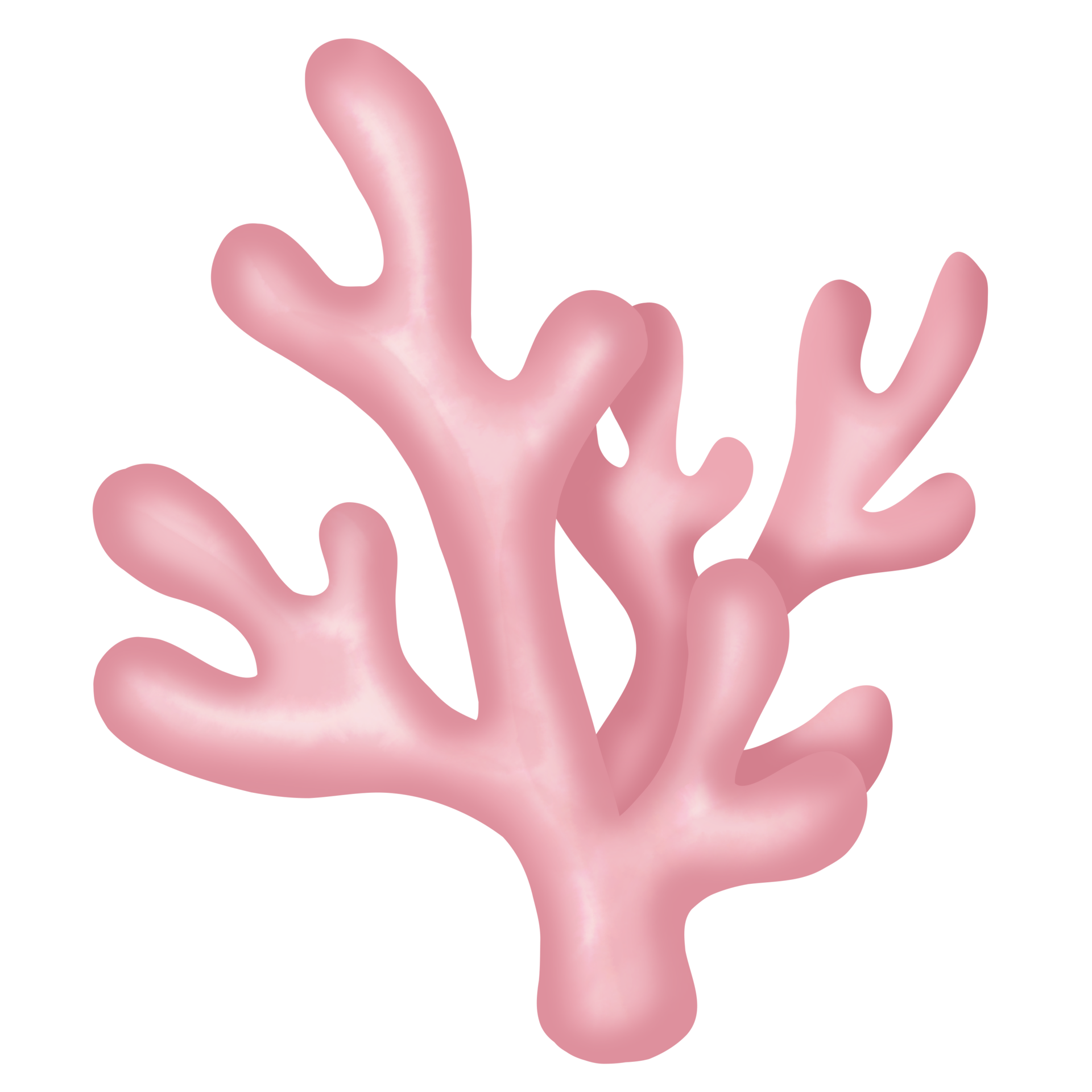 Arrecife De Coral PNG para descargar gratis