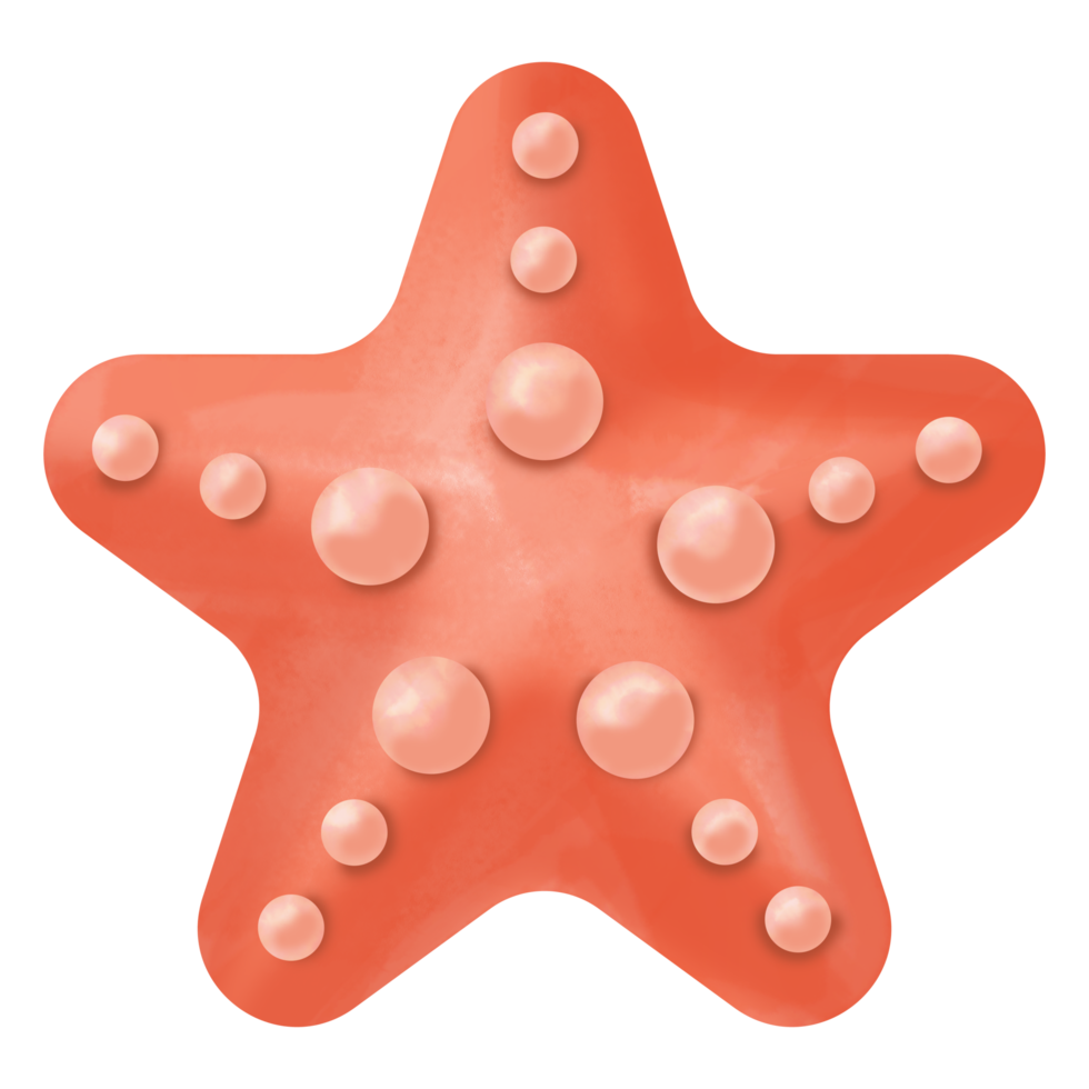 estrella de mar acuarela clipart png