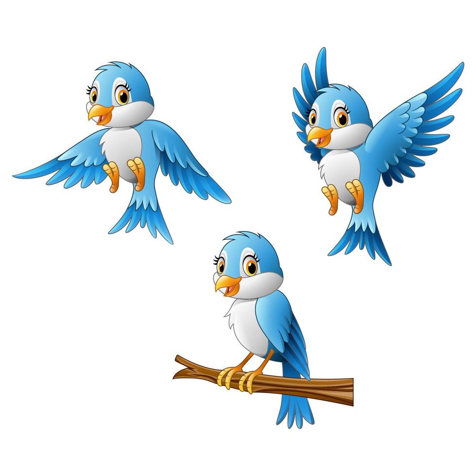 Blue bird collection set vector