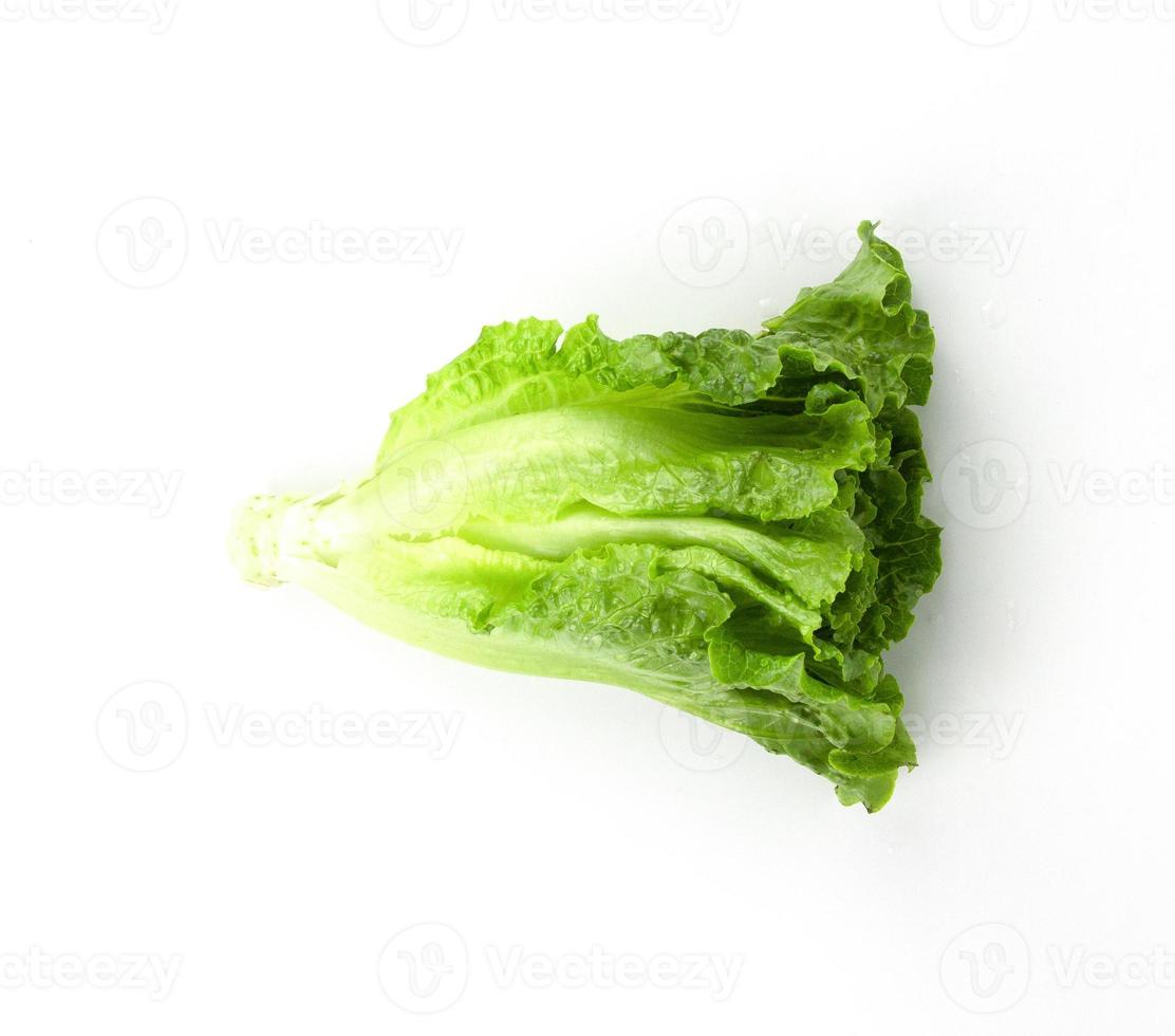 green lettuce vegetable, fresh salad isolated on white back ground with clipping path photo