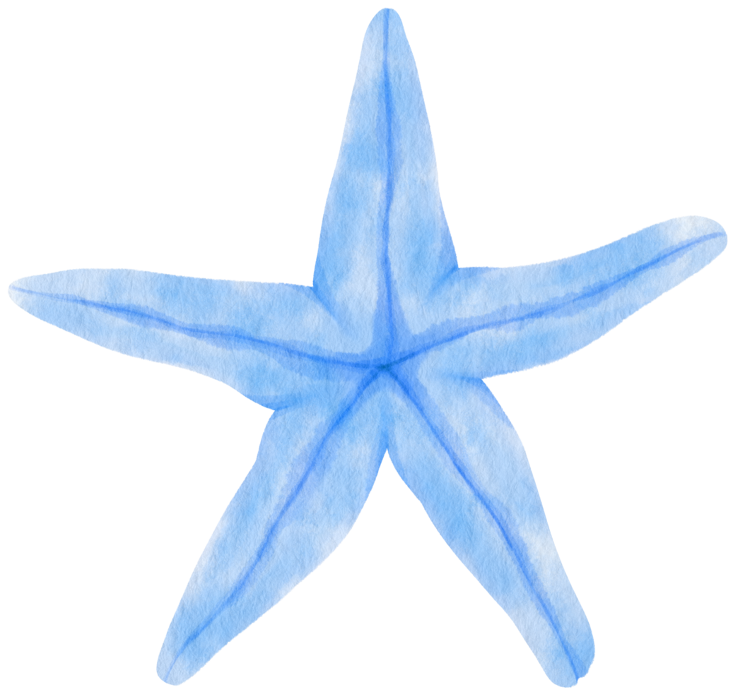 illustration aquarelle étoile de mer ou étoiles de mer png