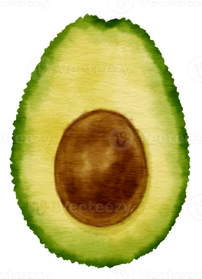 A half of avaocado fruit watercolor style for Thanksgiving Decorative Element png
