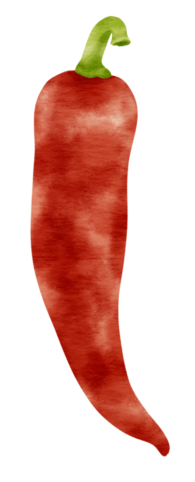 estilo aquarela de pimenta vermelha para elemento decorativo png