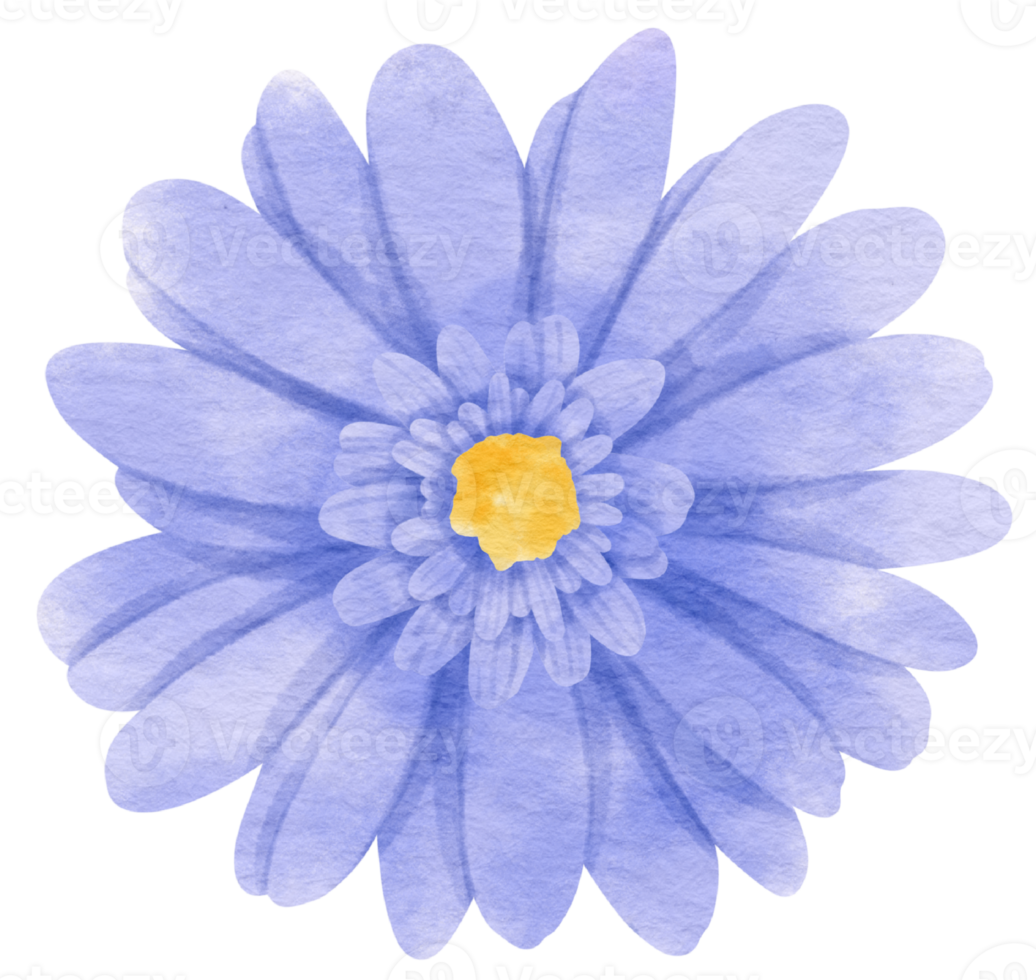 aquarela de flor azul pintada para elemento decorativo png