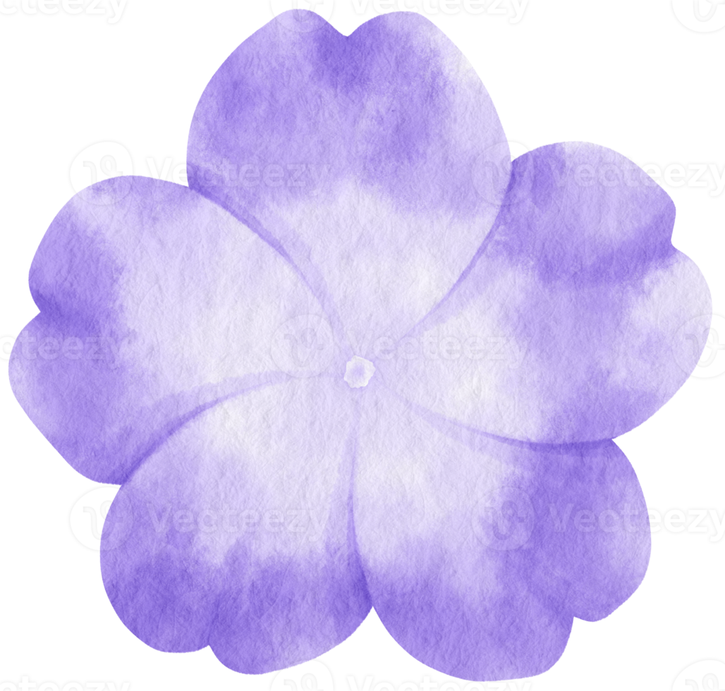 Blue flower watercolor painted for Decorative Element png