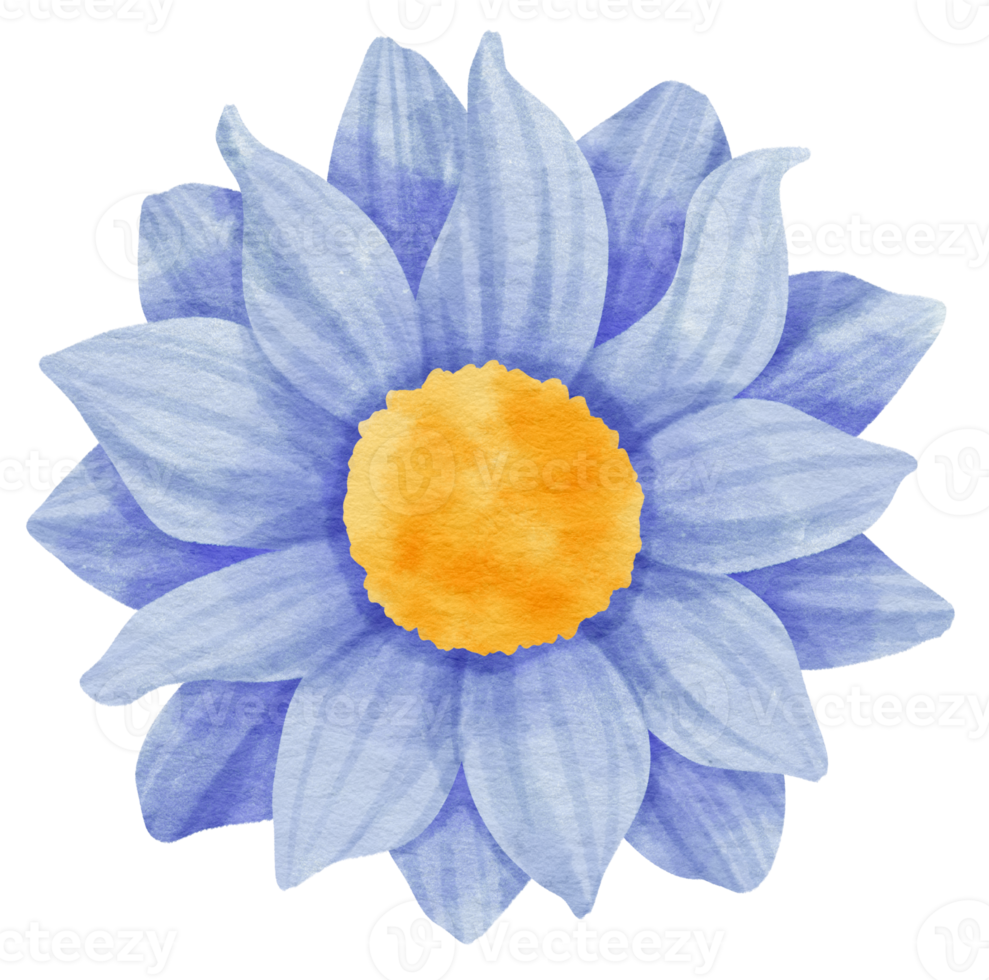 acuarela de flor azul pintada para elemento decorativo png