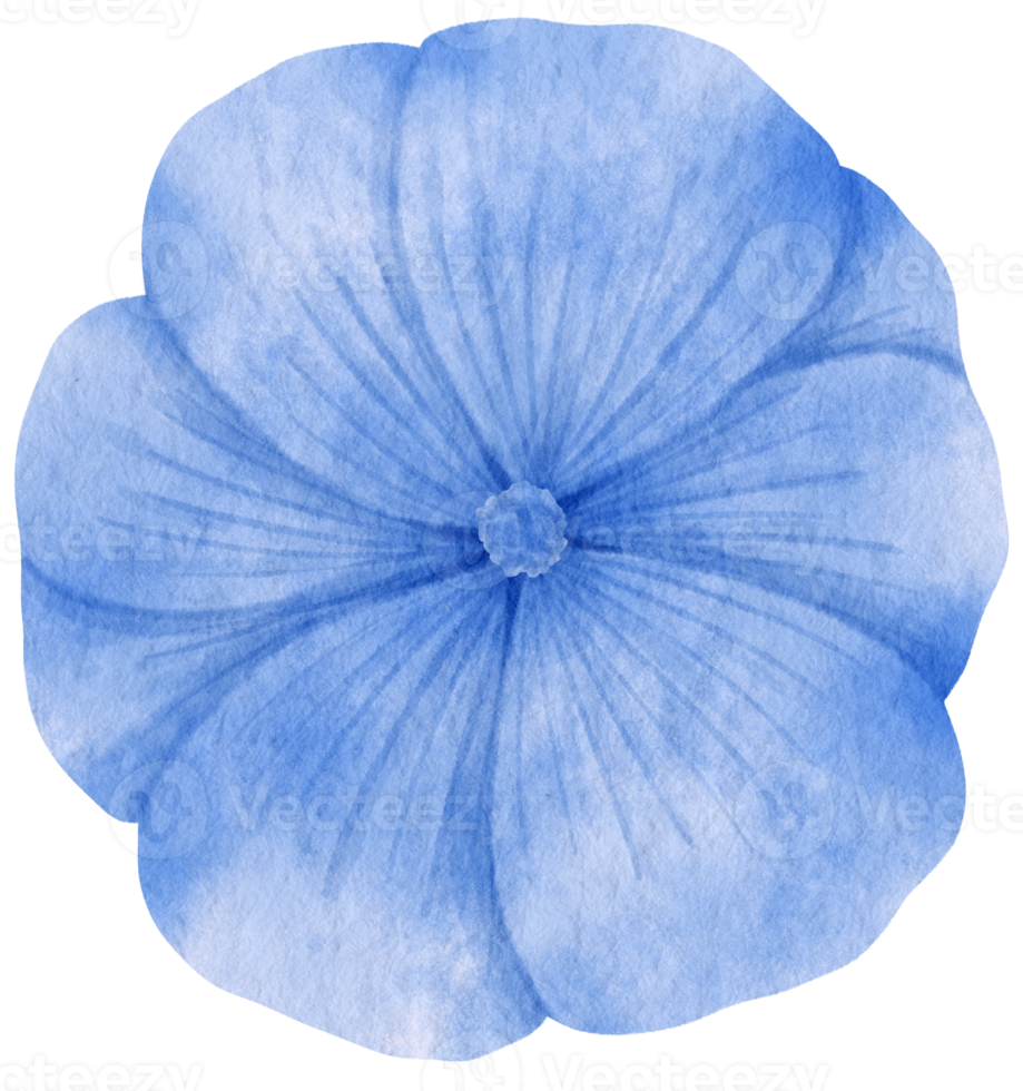 blauwe bloem aquarel geschilderd voor decoratief element png