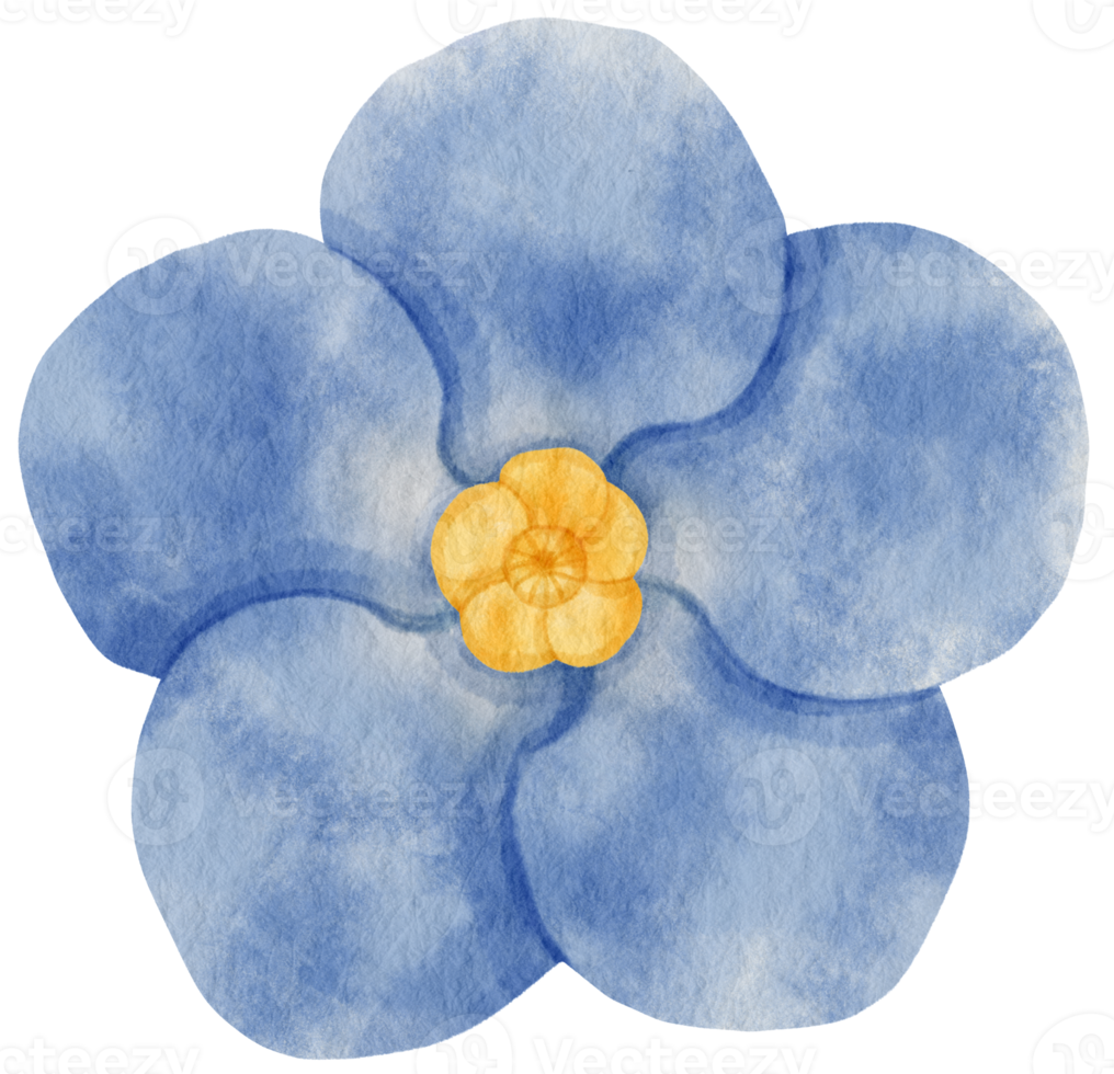 aquarela de flor azul pintada para elemento decorativo png