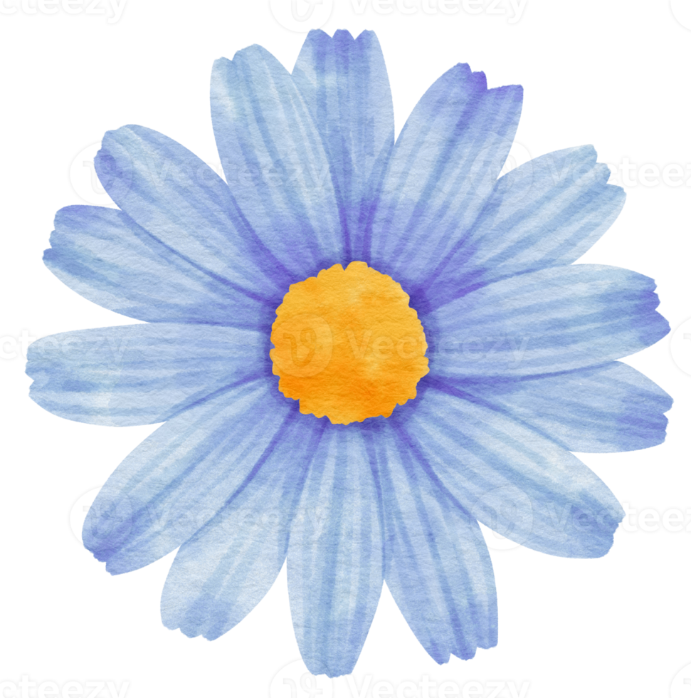 Blue flower watercolor painted for Decorative Element png