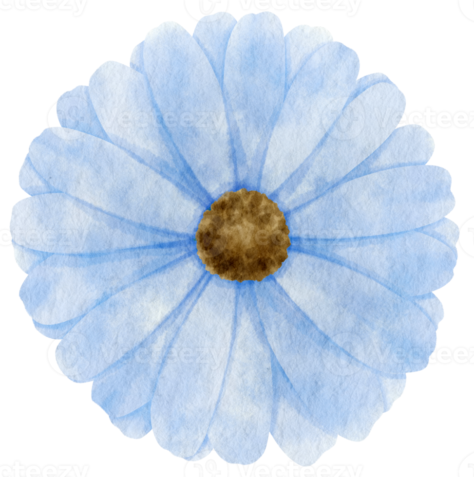 Blue flower watercolor painted for Decorative Element png