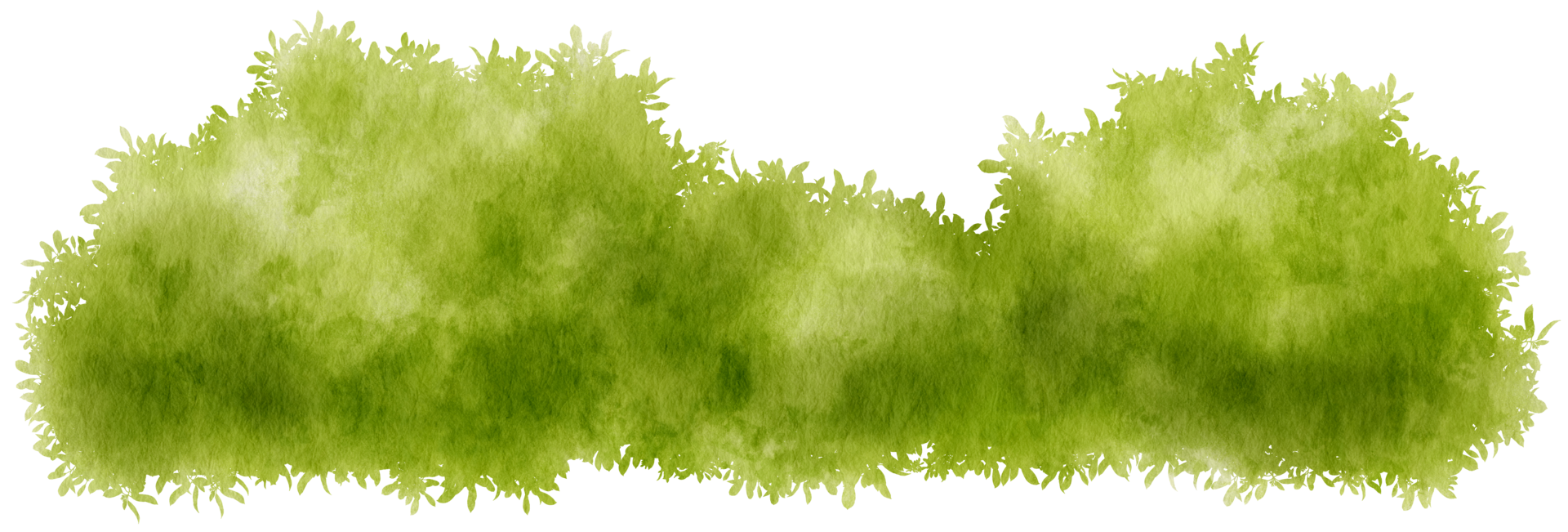 Bush watercolor hand painted 9695047 png