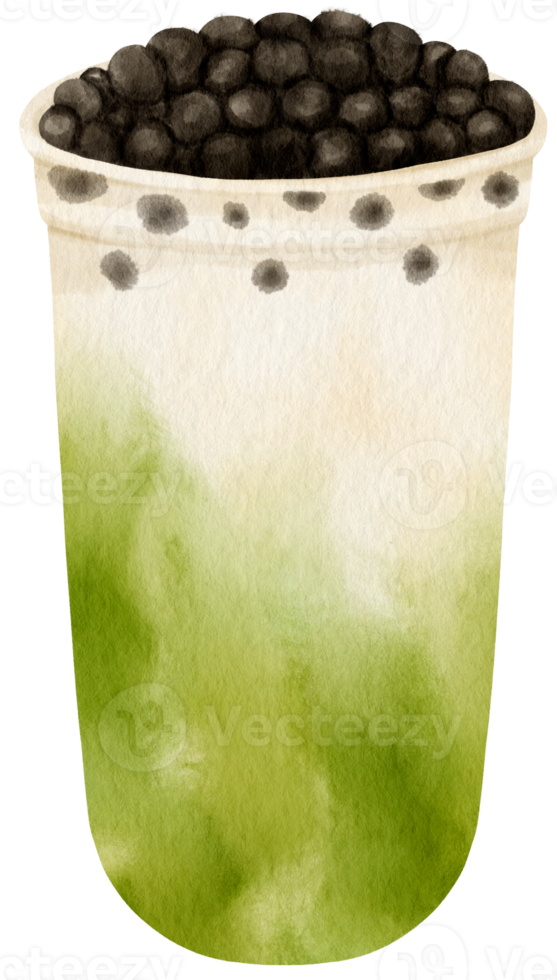 green tea matcha bubble tea watercolor illustration png