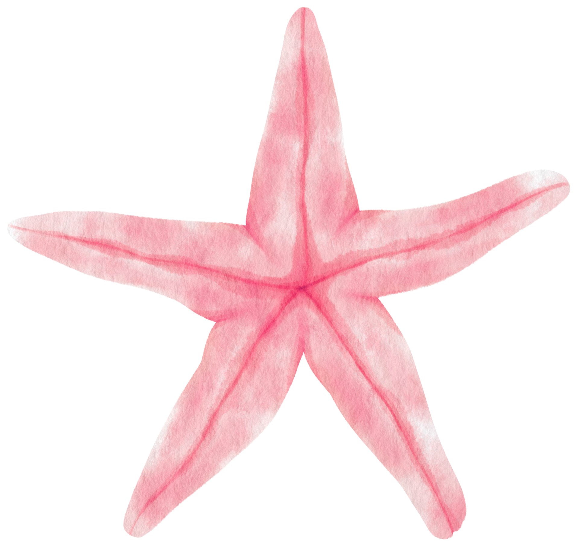 Zeester Of Zeesterren Aquarel Illustratie 9695054 PNG zeester-of-zeesterren-aquarel-illustratie-9695054-png