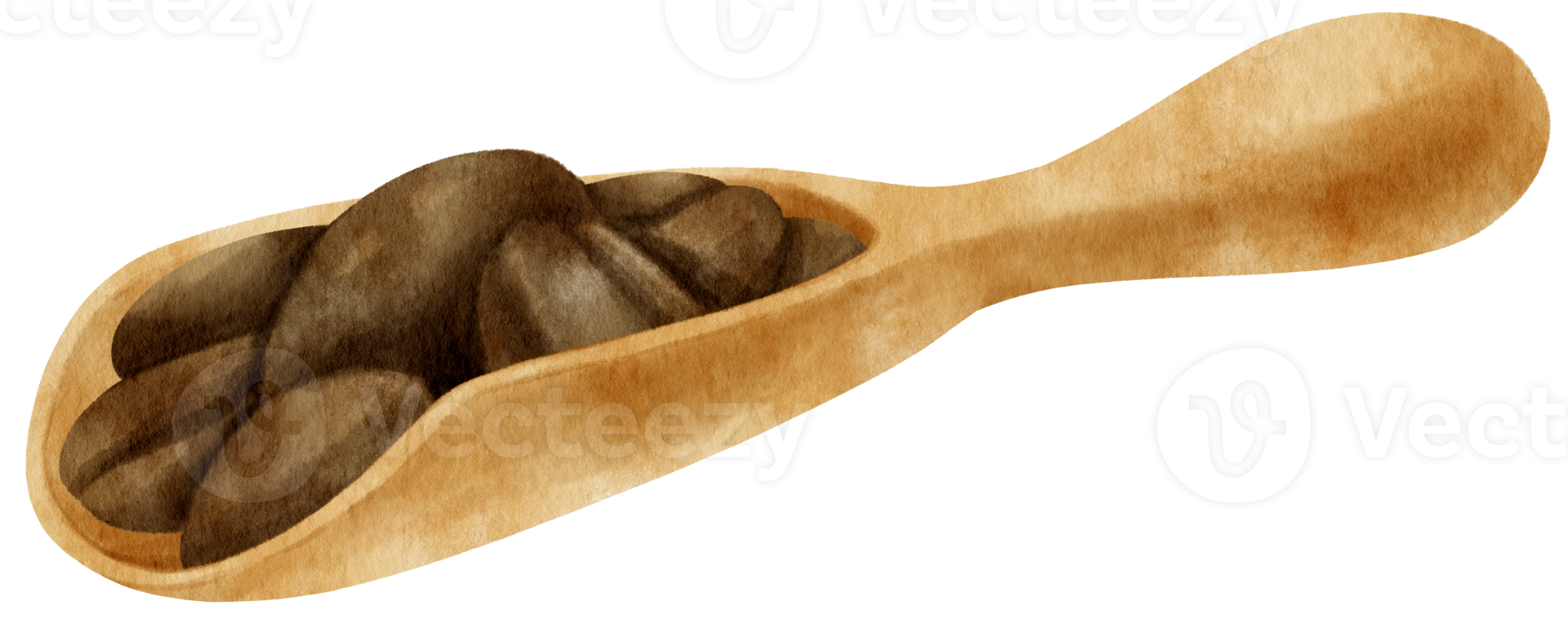 grains de café torréfiés à l'aquarelle dans une cuillère en bois png