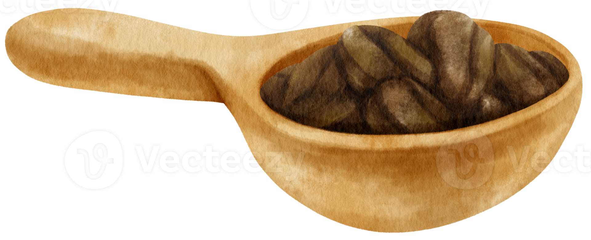 watercolor Roasted coffee beans in wooden scoop png