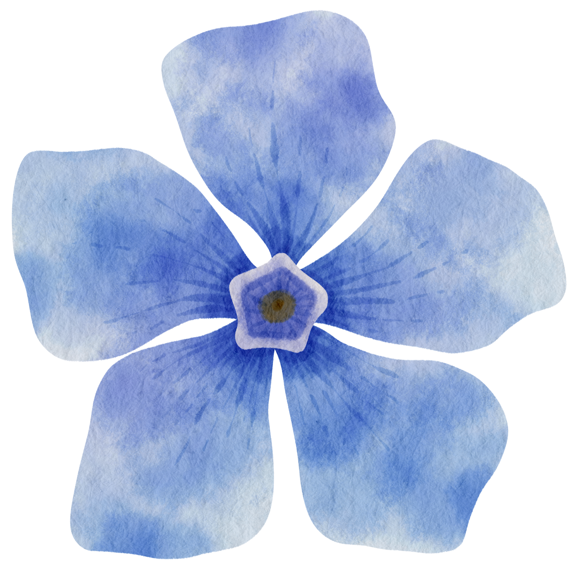 Blue Flower PNGs for Free Download