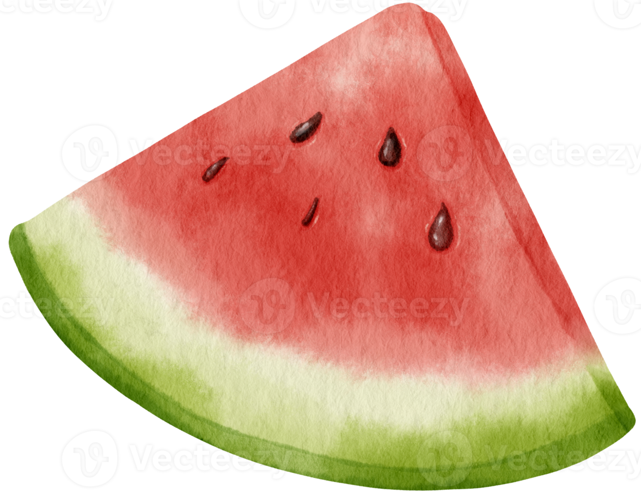 acuarela de fruta de sandía para elemento decorativo png