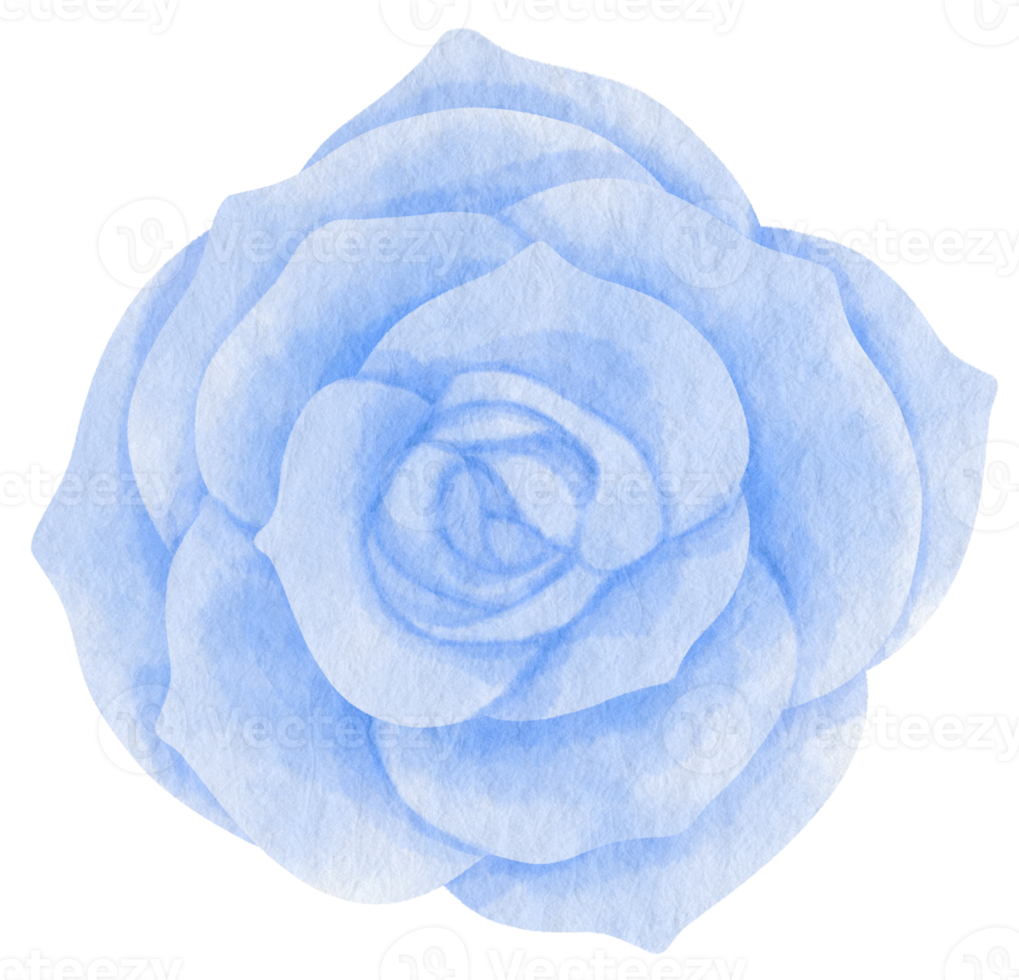 fiore blu dipinto ad acquerello per elemento decorativo png